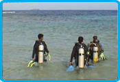 Rocky valley diverscamp - Reef diving