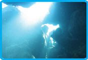 Rocky valley diverscamp - Canyoning
