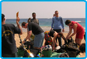 Rocky valley diverscamp - The reef