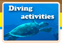 Diving Activities