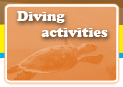 Diving Activities