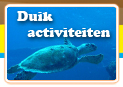 Diving Activities